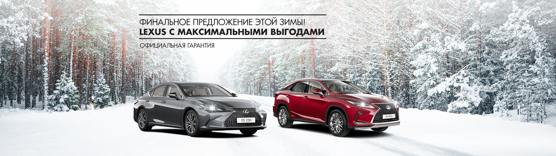 LEXUS в MAJOR